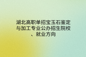 湖北高职单招宝玉石鉴定与加工专业公办招生院校、就业方向