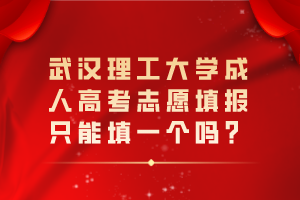 武汉理工大学成人高考志愿填报只能填一个吗？