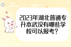 2023年湖北普通专升本武汉有哪些学校可以报考？