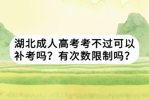 湖北成人高考考不过可以补考吗？有次数限制吗？
