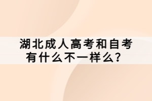 湖北成人高考和自考有什么不一样么？