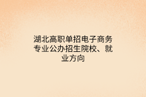 湖北高职单招电子商务专业公办招生院校、就业方向