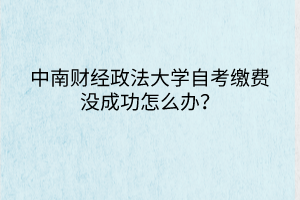 中南财经政法大学自考缴费没成功怎么办？