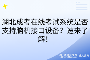 湖北成考在线考试系统是否支持脑机接口设备？速来了解！