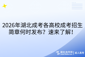 2026年湖北成考各高校成考招生简章何时发布？速来了解！