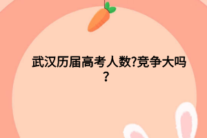 武汉历届高考人数?竞争大吗？