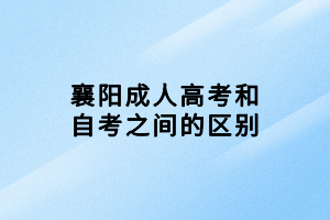 襄阳成人高考和自考之间的区别