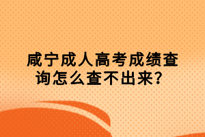 咸宁成人高考成绩查询怎么查不出来？