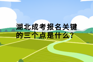 湖北成考报名关键的三个点是什么？