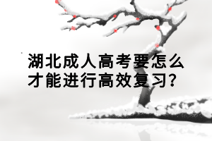 湖北成人高考要怎么才能进行高效复习？