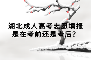 湖北成人高考志愿填报是在考前还是考后？