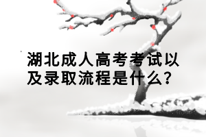 湖北成人高考考试以及录取流程是什么？