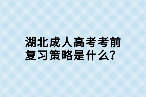 湖北成人高考考前复习策略是什么？