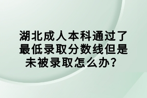 湖北成人本科通过了最低录取分数线但是未被录取怎么办？