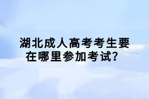 湖北成人高考考生要在哪里参加考试？