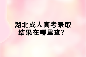 湖北成人高考录取结果在哪里查？