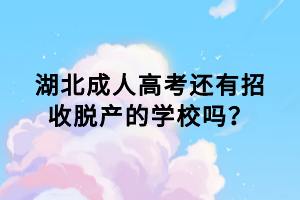 湖北成人高考还有招收脱产的学校吗？