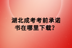 湖北成考考前承诺书在哪里下载？