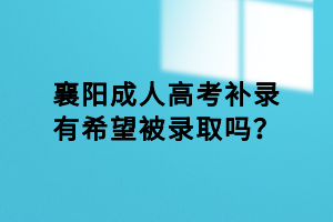 襄阳成人高考补录有希望被录取吗？