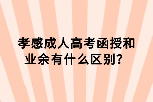 孝感成人高考函授和业余有什么区别？