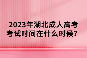 2023年湖北成人高考考试时间在什么时候？