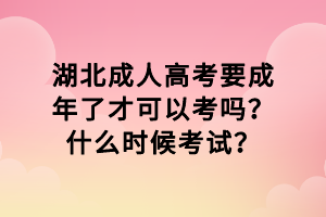 湖北成人高考要成年了才可以考吗？什么时候考试？