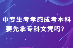 中专生考孝感成考本科要先拿专科文凭吗？