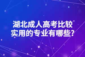 湖北成人高考比较实用的专业有哪些_