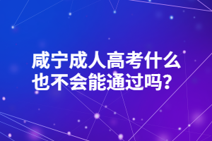 咸宁成人高考什么也不会能通过吗？