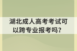 湖北成人高考考试可以跨专业报考吗？