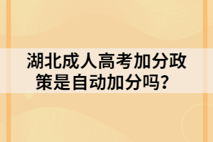 湖北成人高考加分政策是自动加分吗？