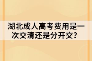 湖北成人高考费用是一次交清还是分开交？