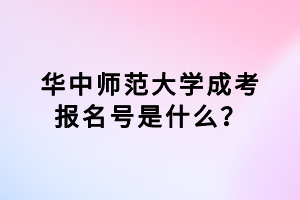 华中师范大学成考报名号是什么？