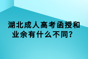 湖北成人高考函授和业余有什么不同？