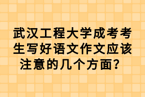 武汉工程大学成考考生写好语文作文应该注意的几个方面？
