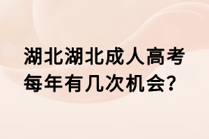 湖北湖北成人高考每年有几次机会？