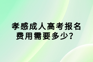 孝感成人高考报名费用需要多少？