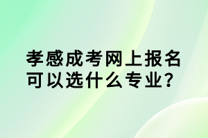 孝感成考网上报名可以选什么专业？