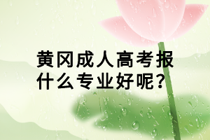 黄冈成人高考报什么专业好呢？