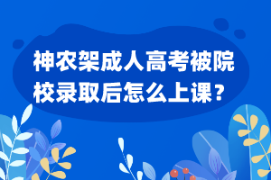 神农架成人高考被院校录取后怎么上课？