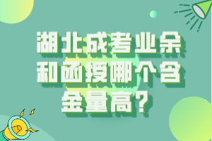 湖北成考业余和函授哪个含金量高？