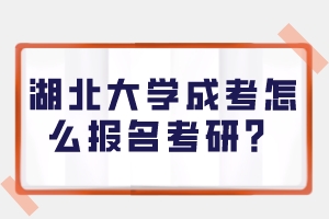 湖北大学成考怎么报名考研？