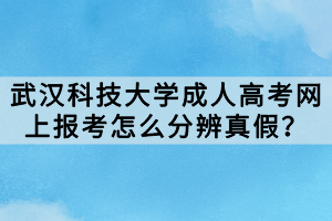 武汉科技大学成人高考网上报考怎么分辨真假？