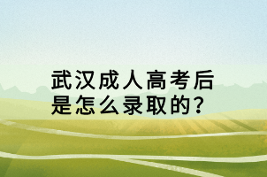 武汉成人高考后是怎么录取的？