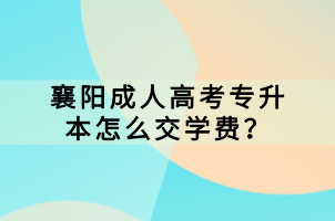 襄阳成人高考专升本怎么交学费？