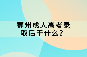 鄂州成人高考录取后干什么？