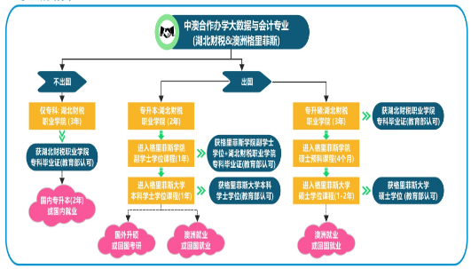 学业规划图