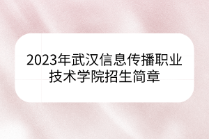 2023年武汉信息传播职业技术学院招生简章
