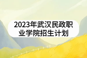 2023年武汉民政职业学院招生计划