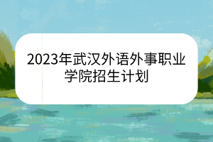 2023年武汉外语外事职业学院招生计划
